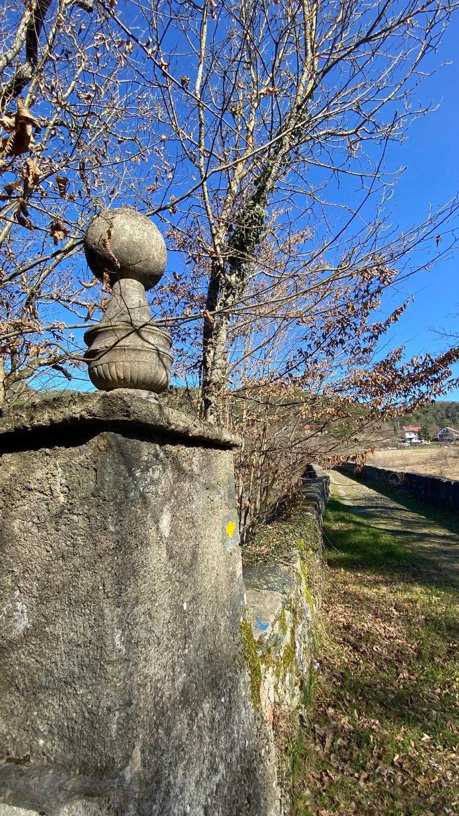 - foto 21