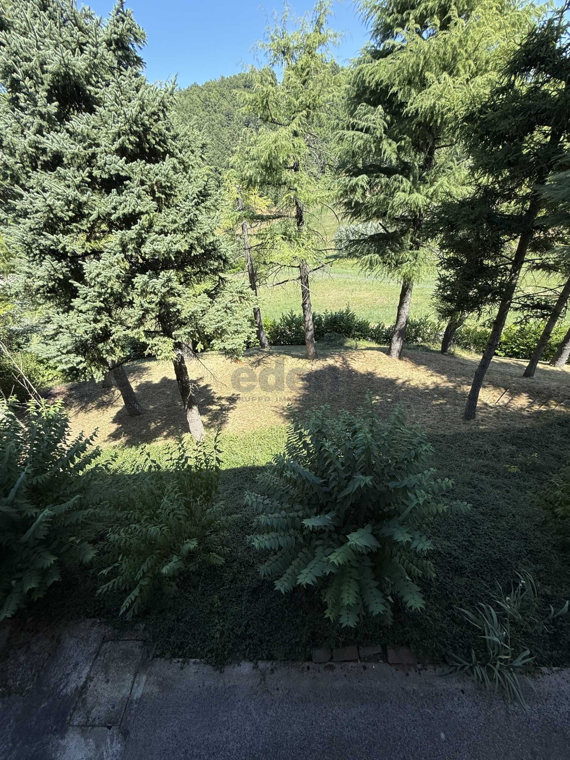 - foto 37