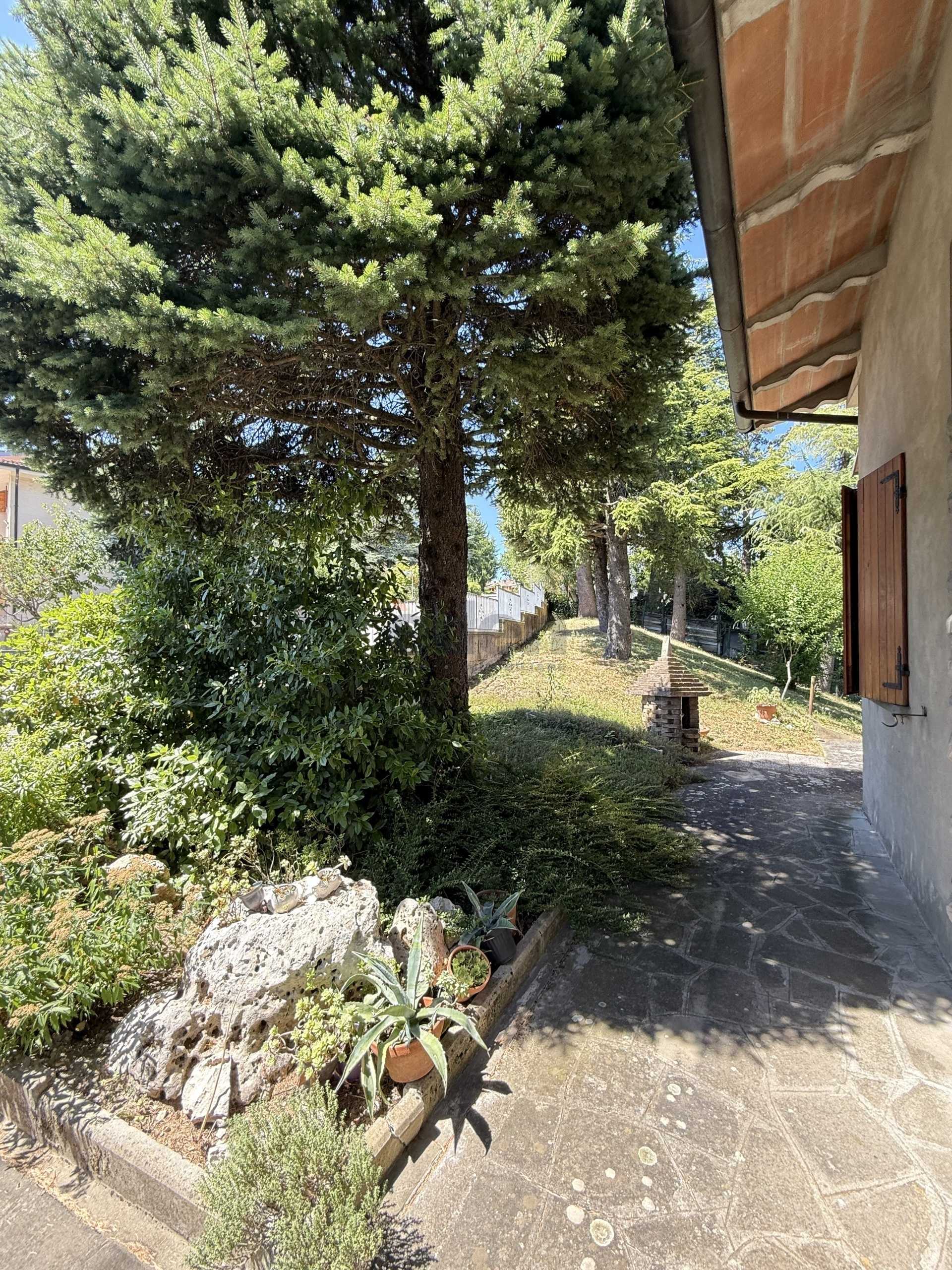  - foto 39