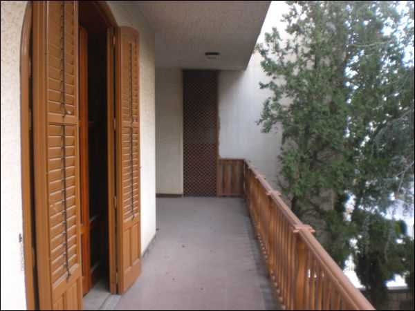  - foto 11
