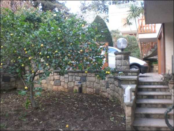  - foto 5
