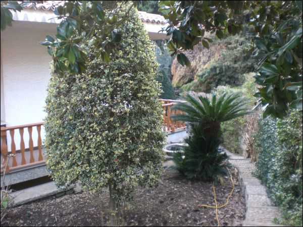  - foto 6