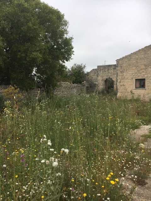  - foto 12