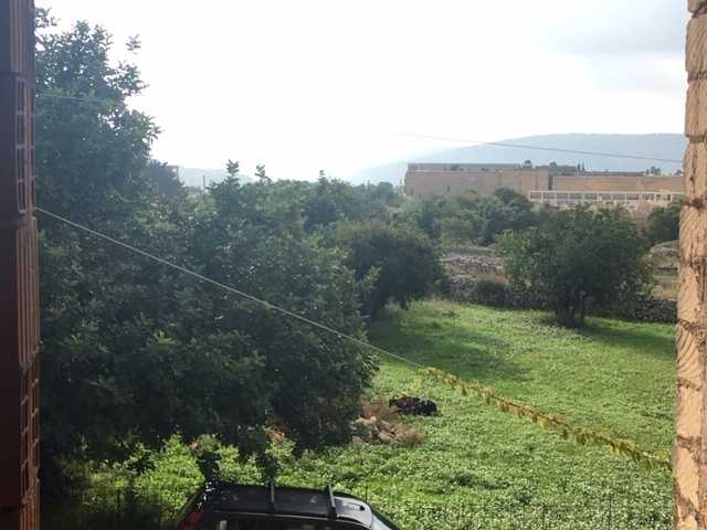  - foto 31