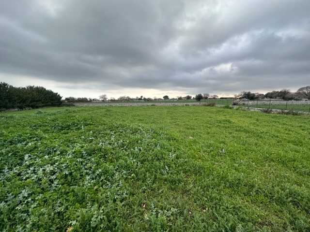  - foto 20