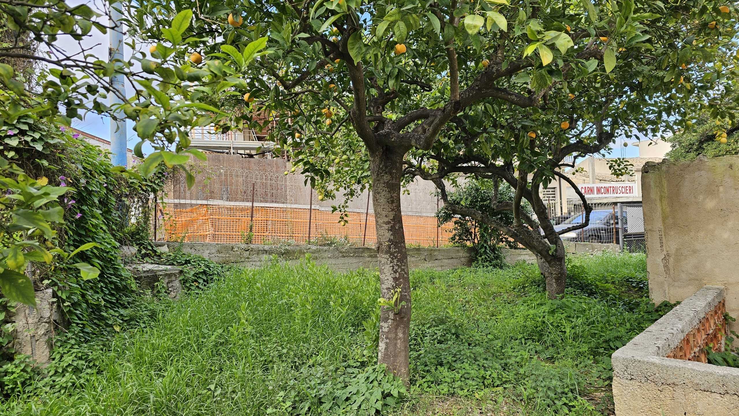  - foto 12