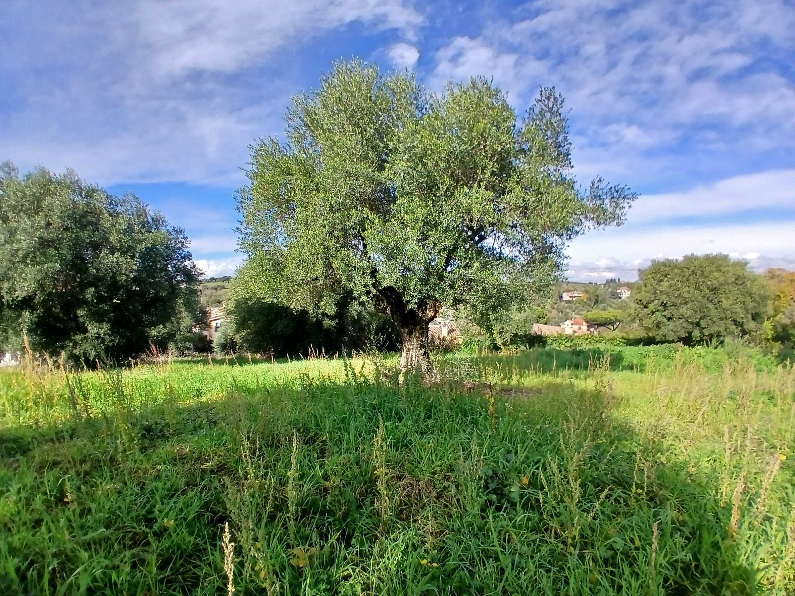  - foto 10