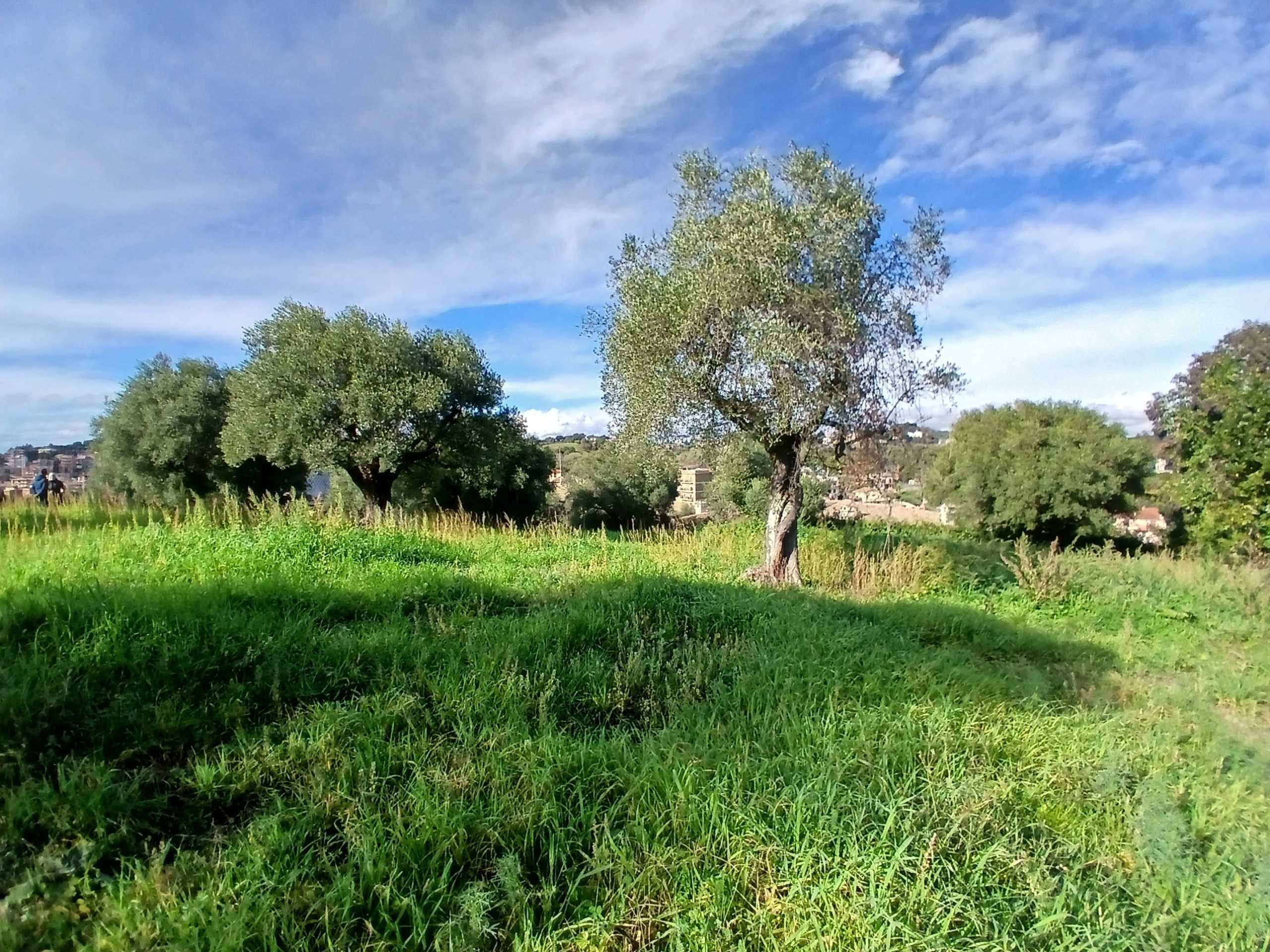  - foto 14