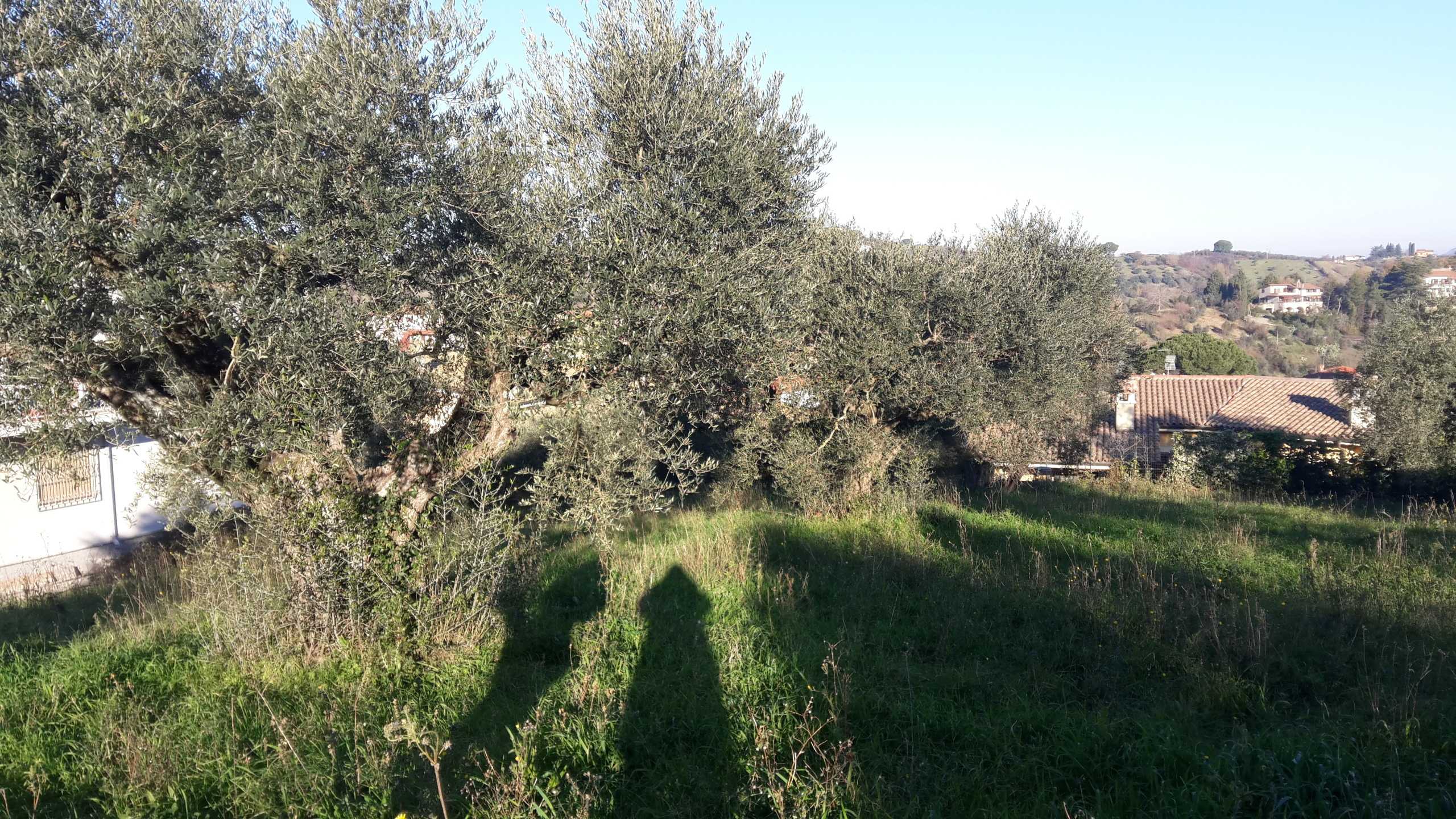  - foto 4
