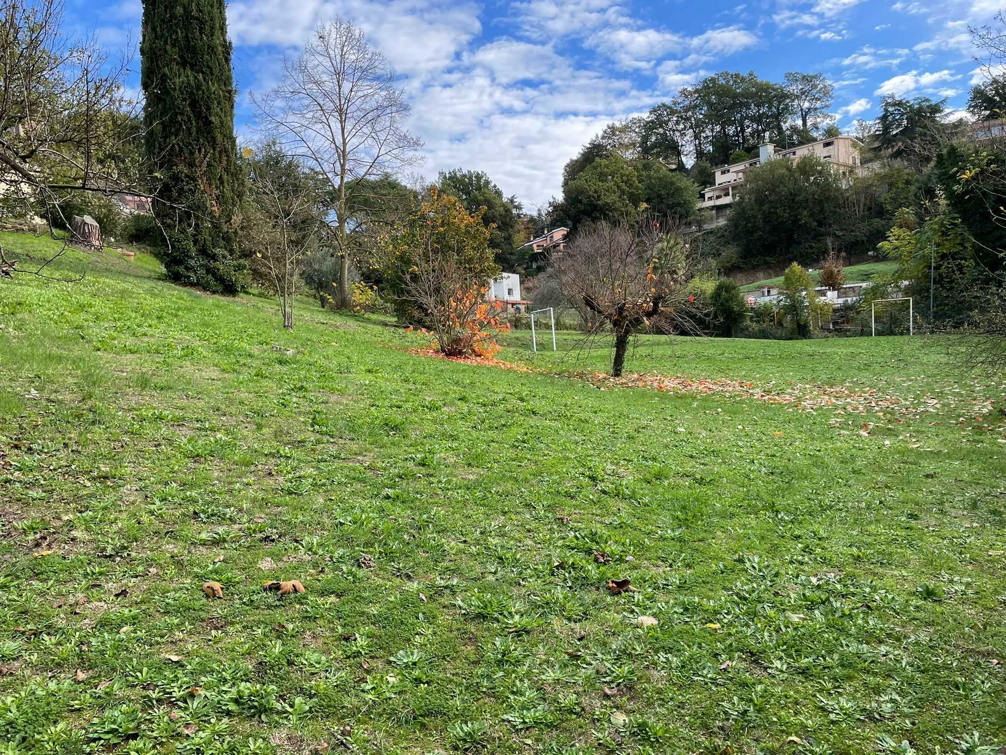  - foto 10