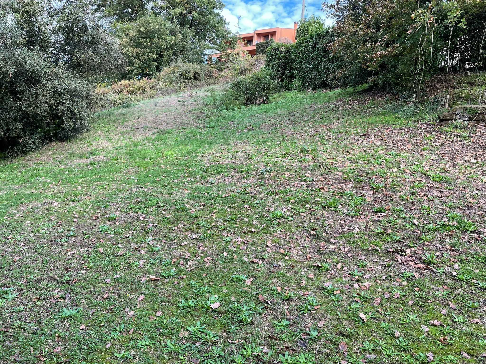  - foto 13
