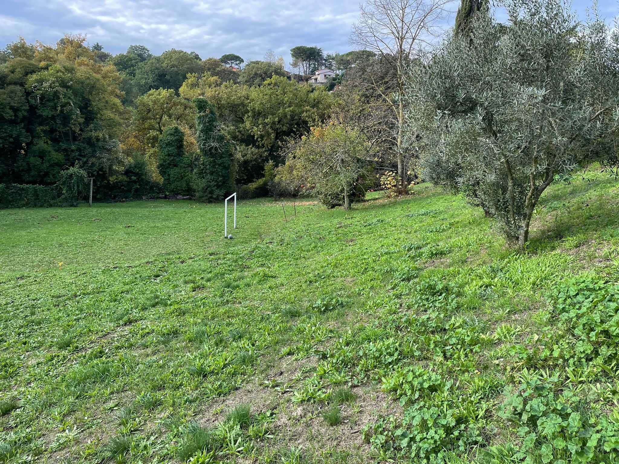  - foto 2