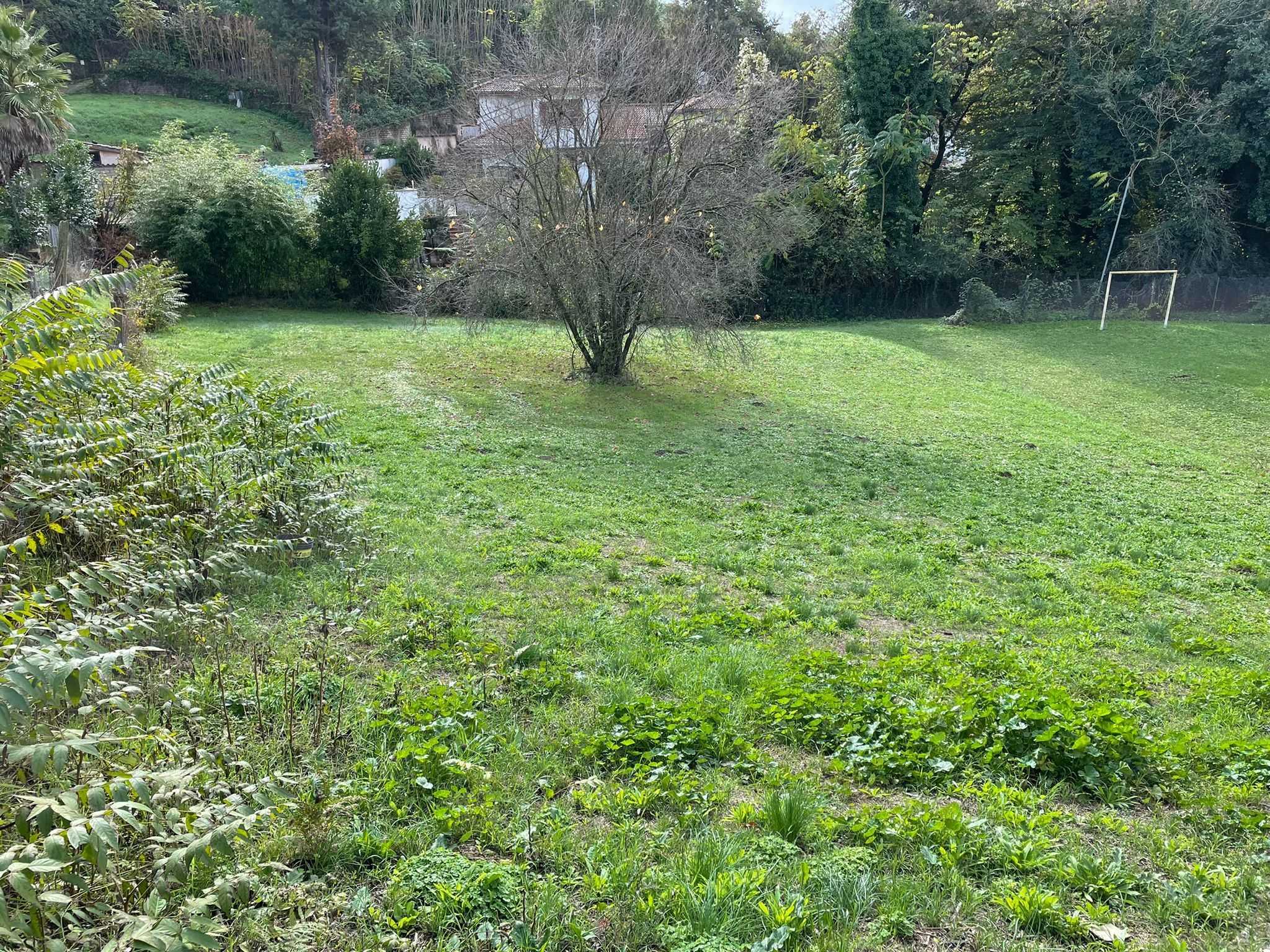  - foto 4