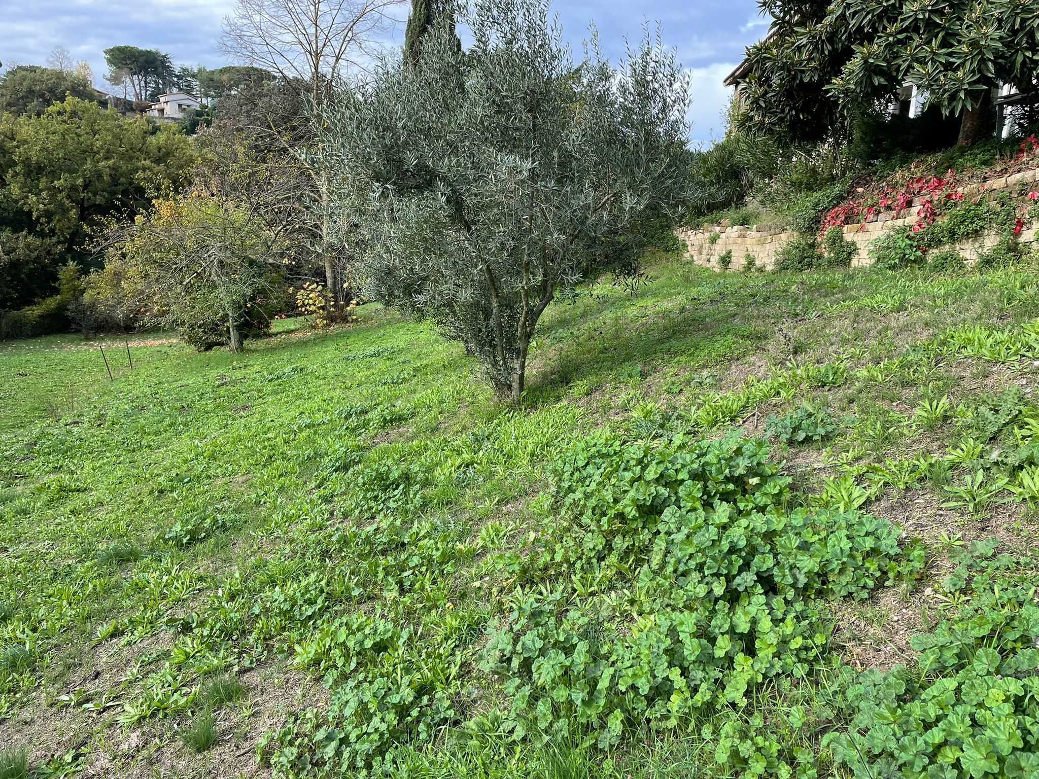  - foto 5
