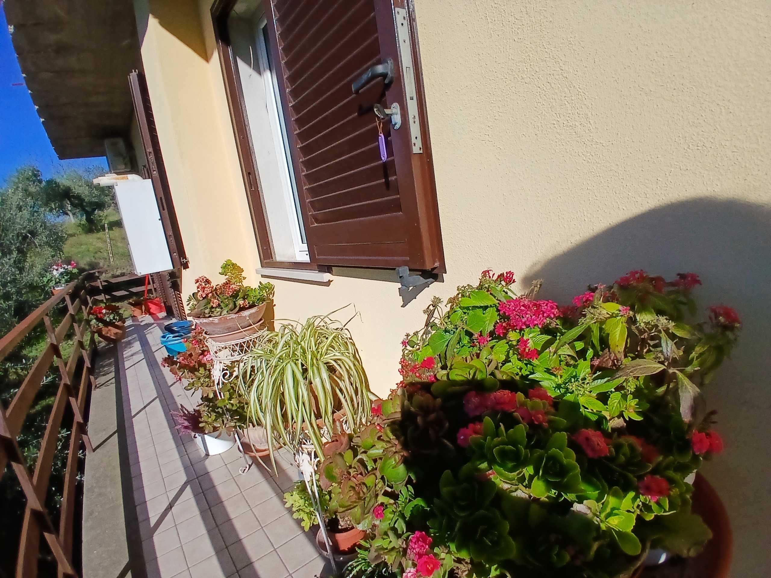  - foto 47