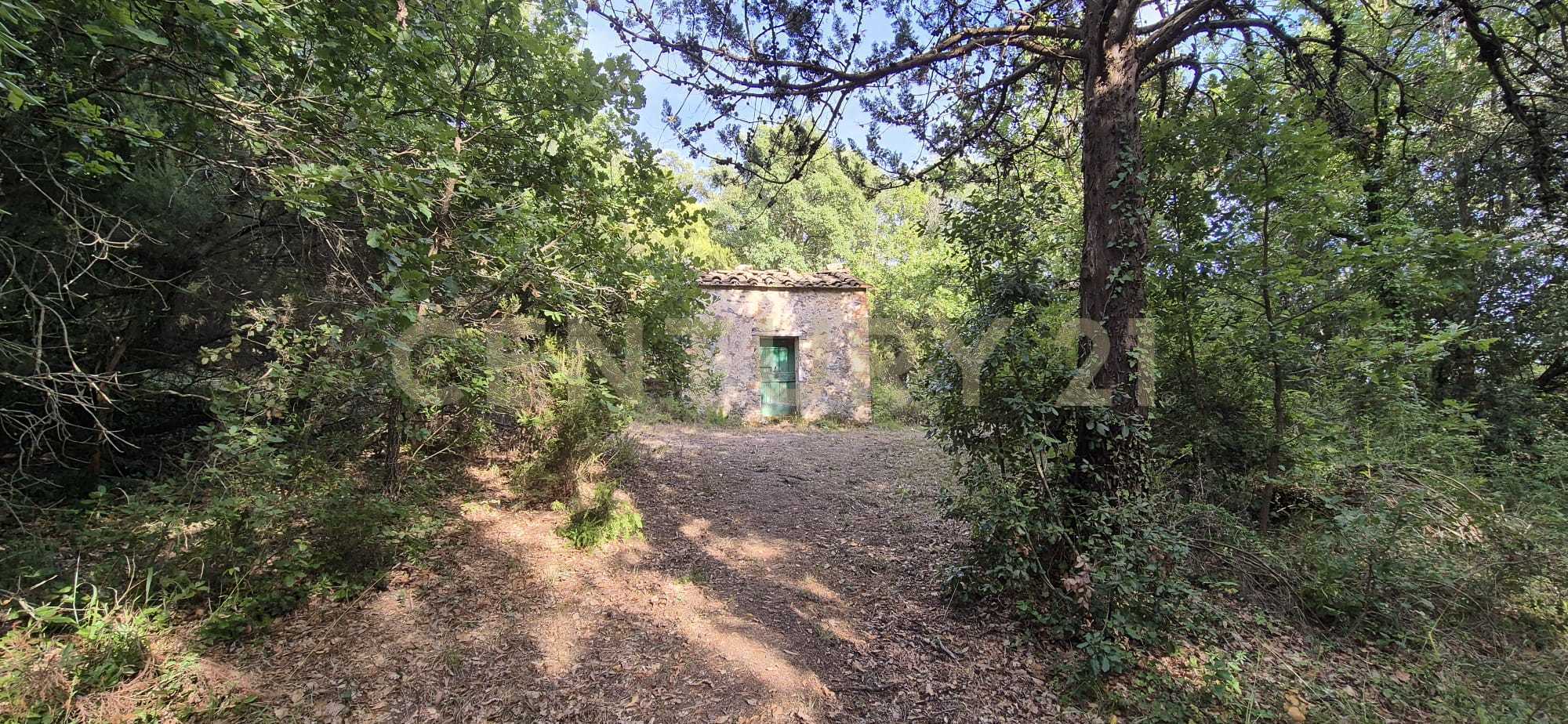Casa indipendente località vignaccia, Civitella Paganico