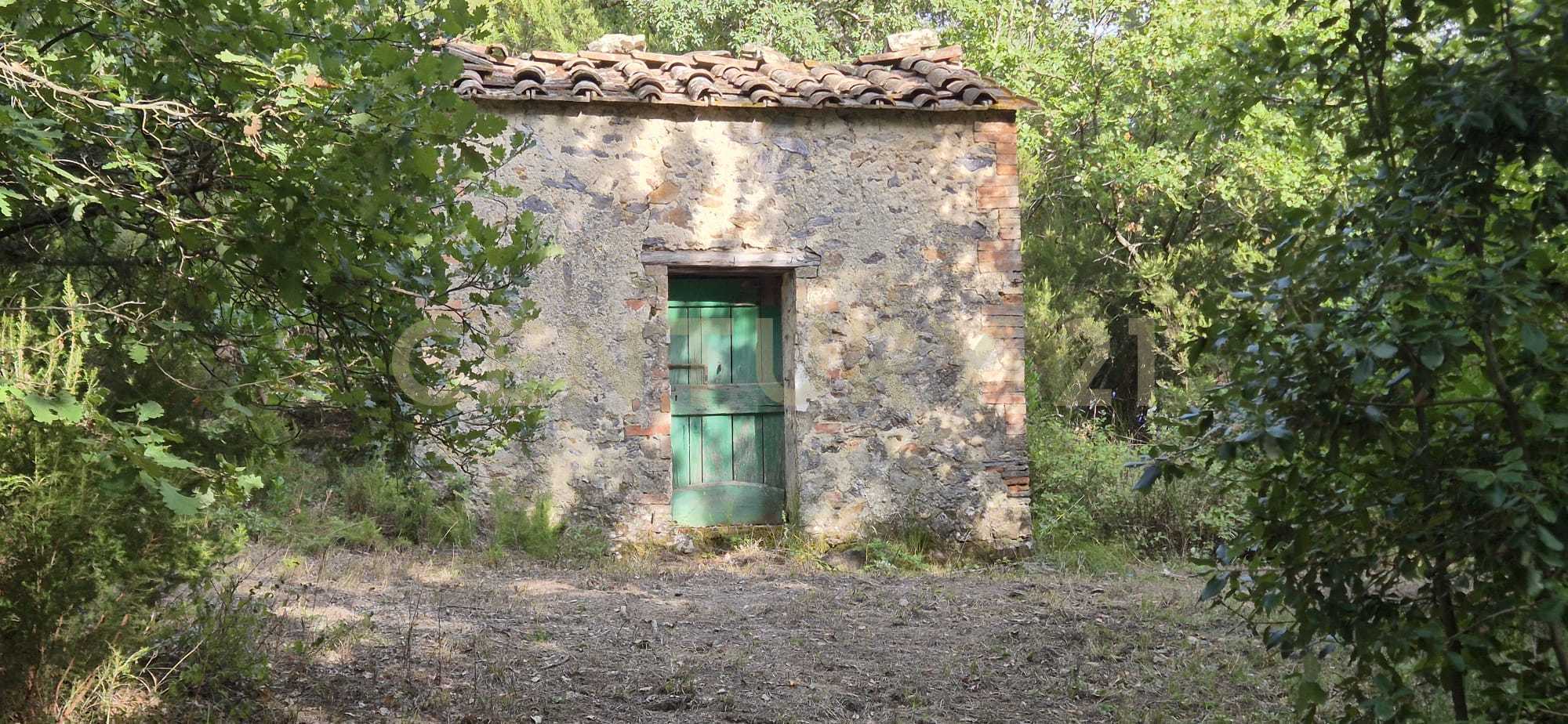  - foto 2