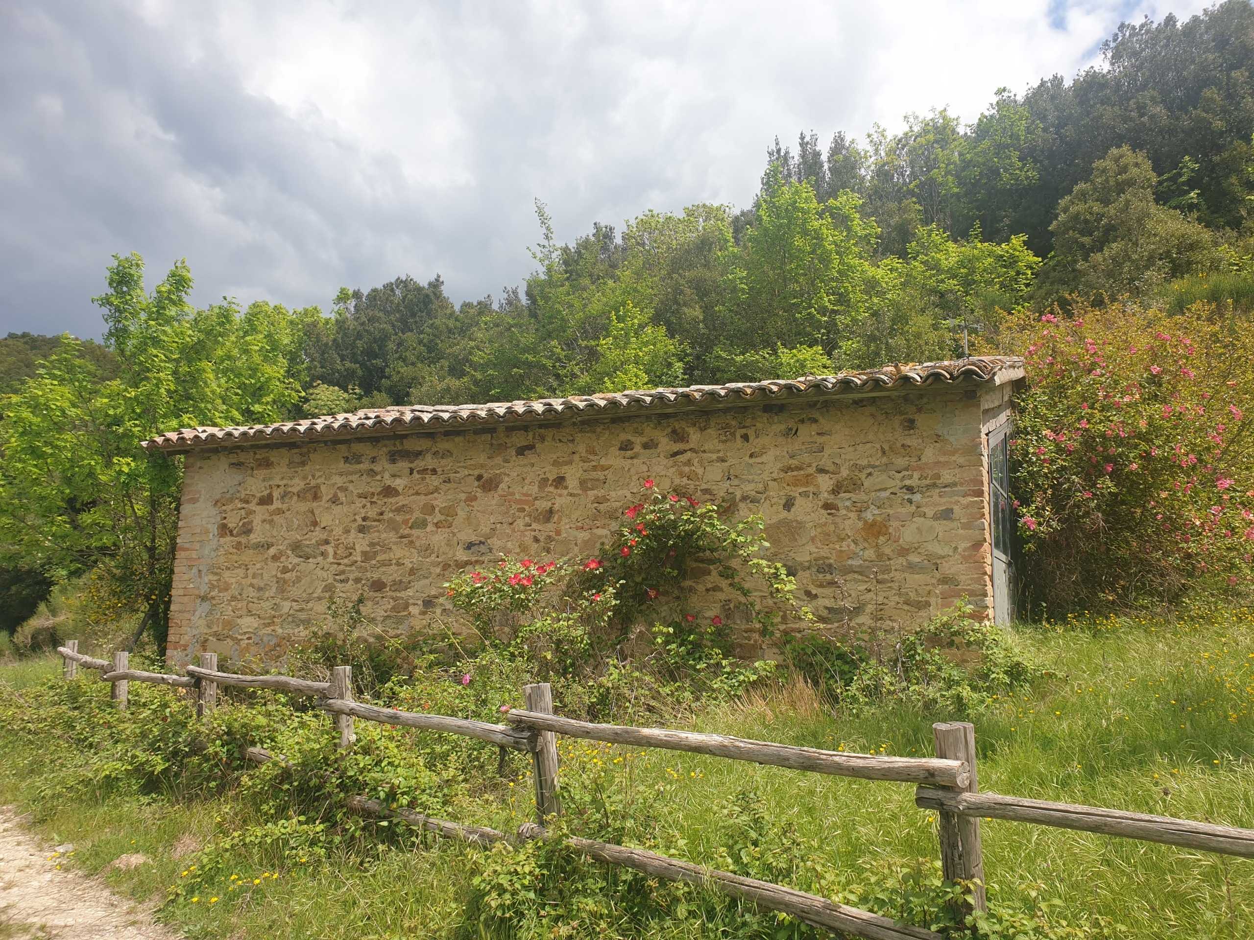  - foto 17