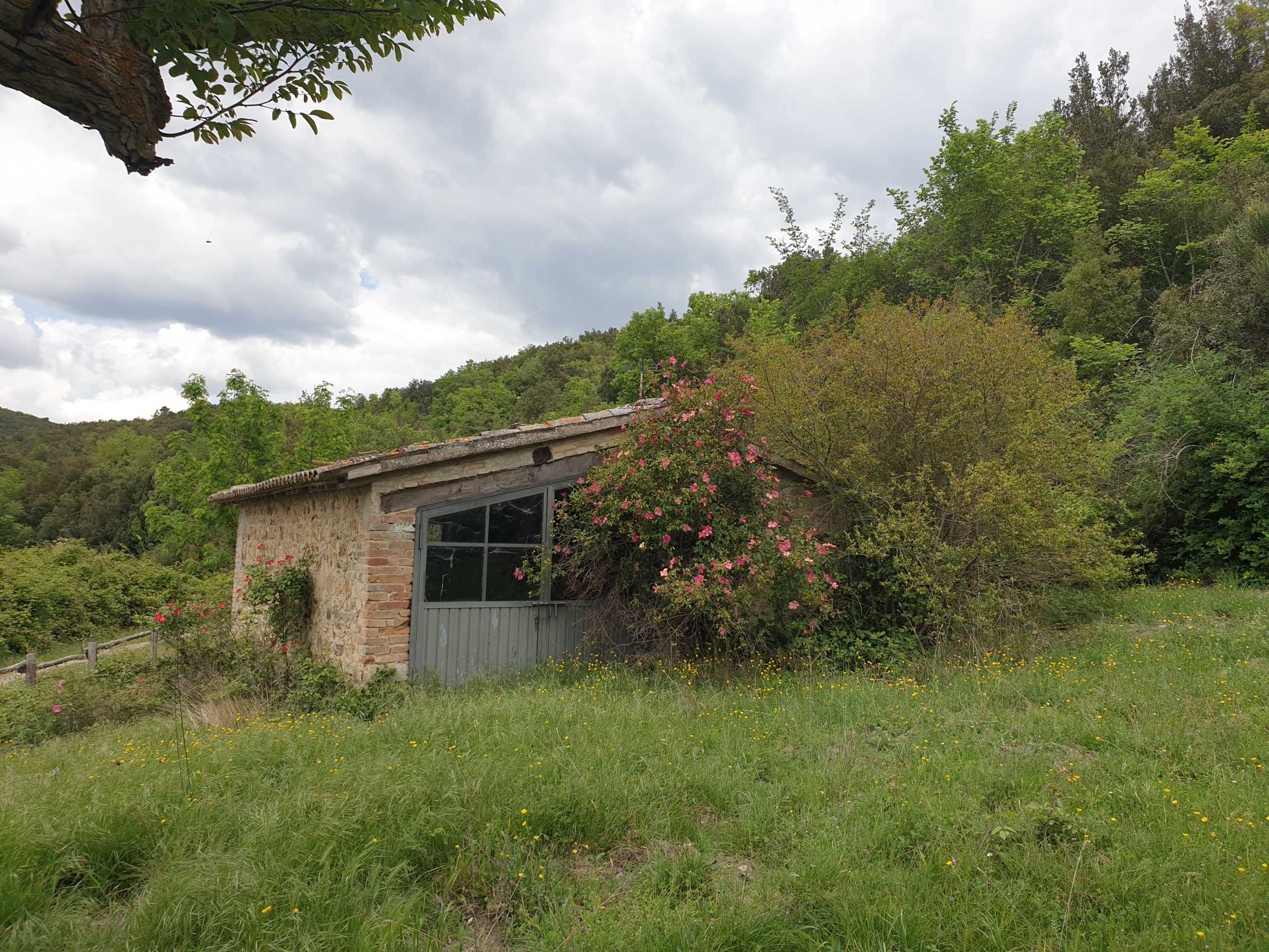  - foto 28