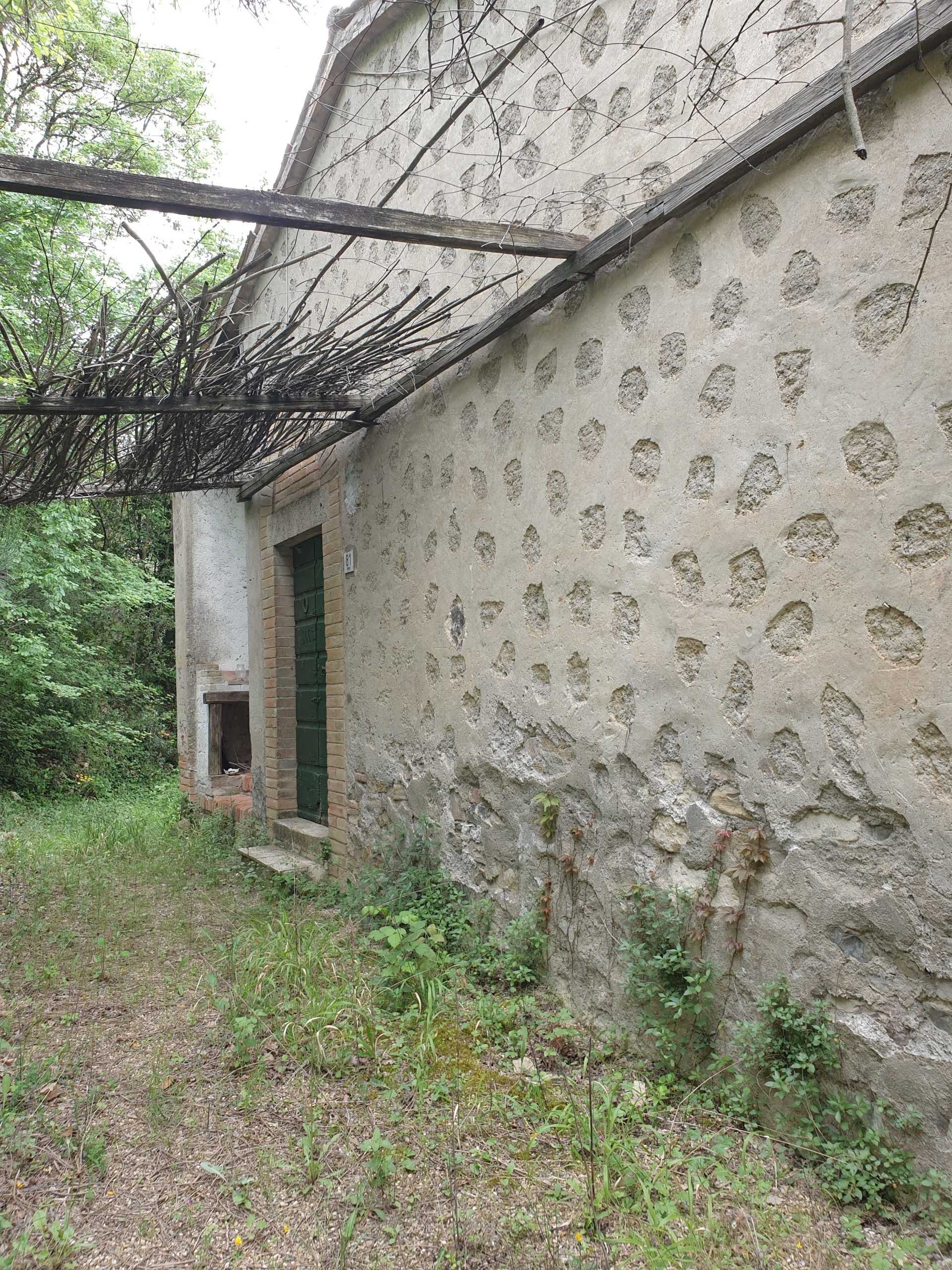  - foto 36