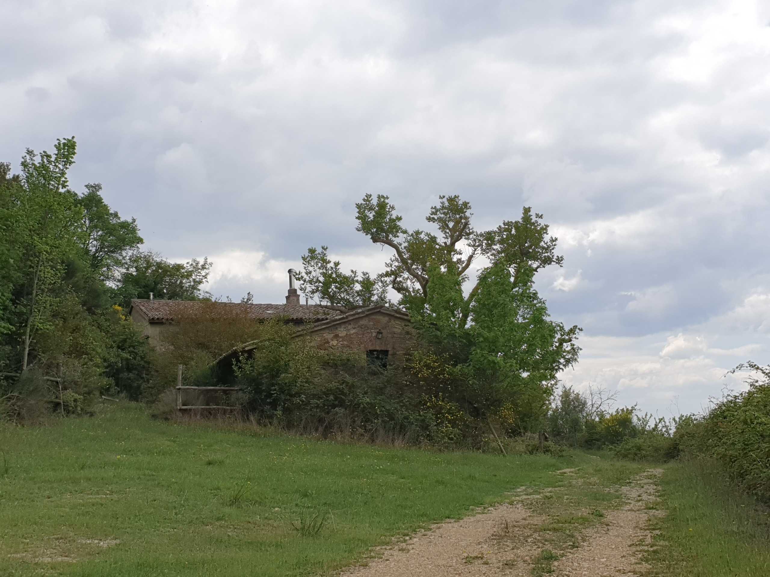  - foto 52