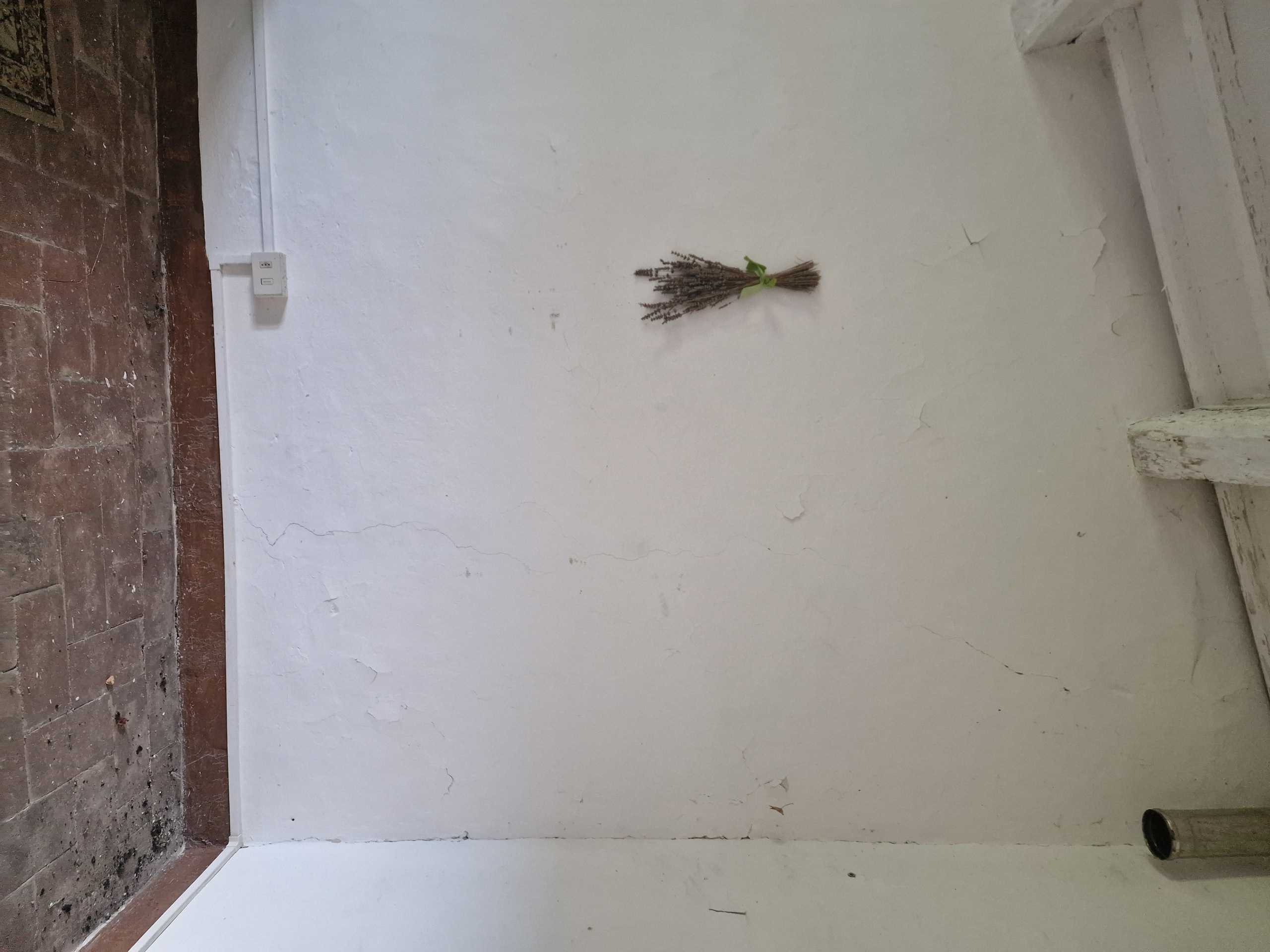  - foto 66