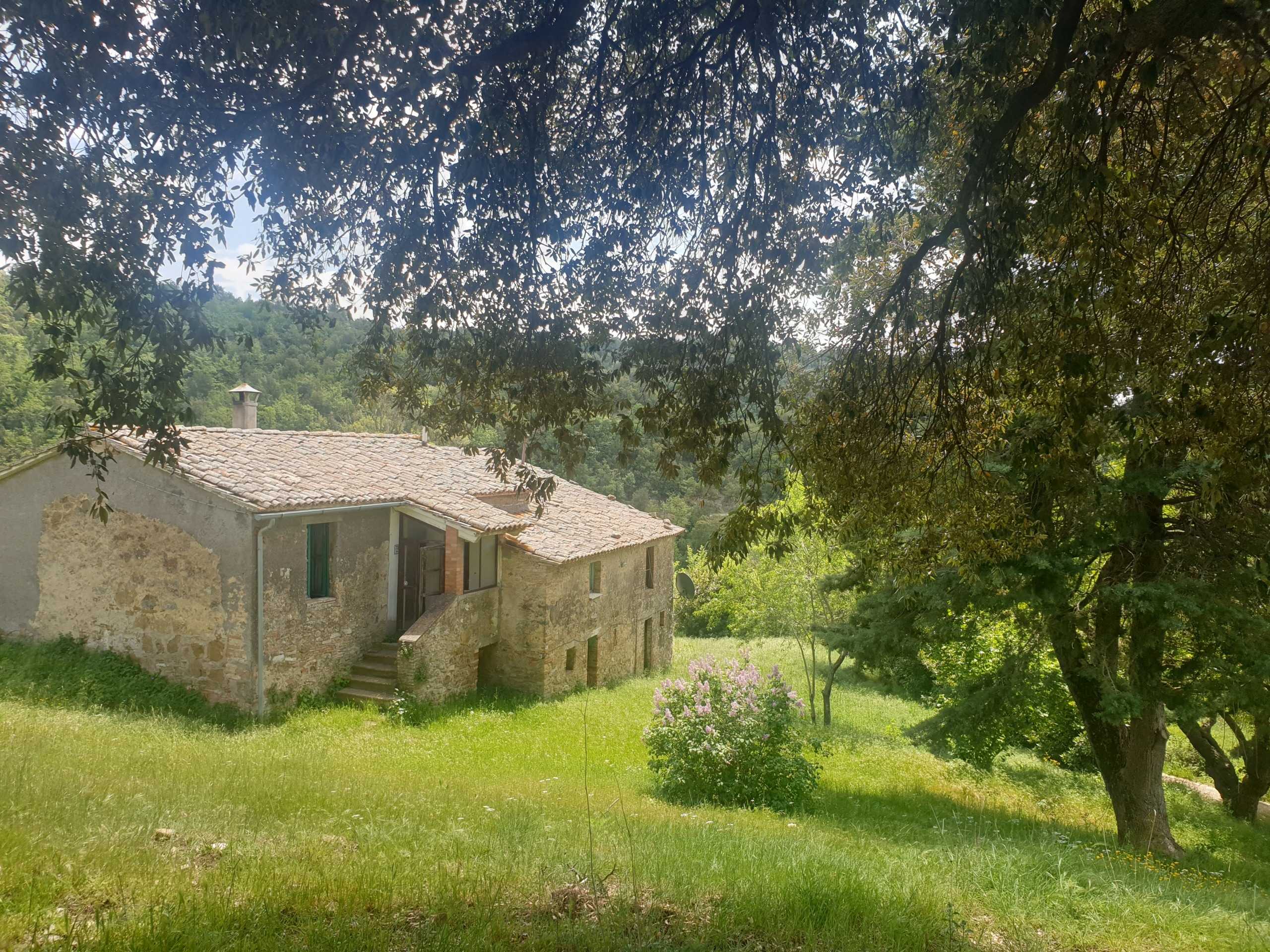  - foto 3