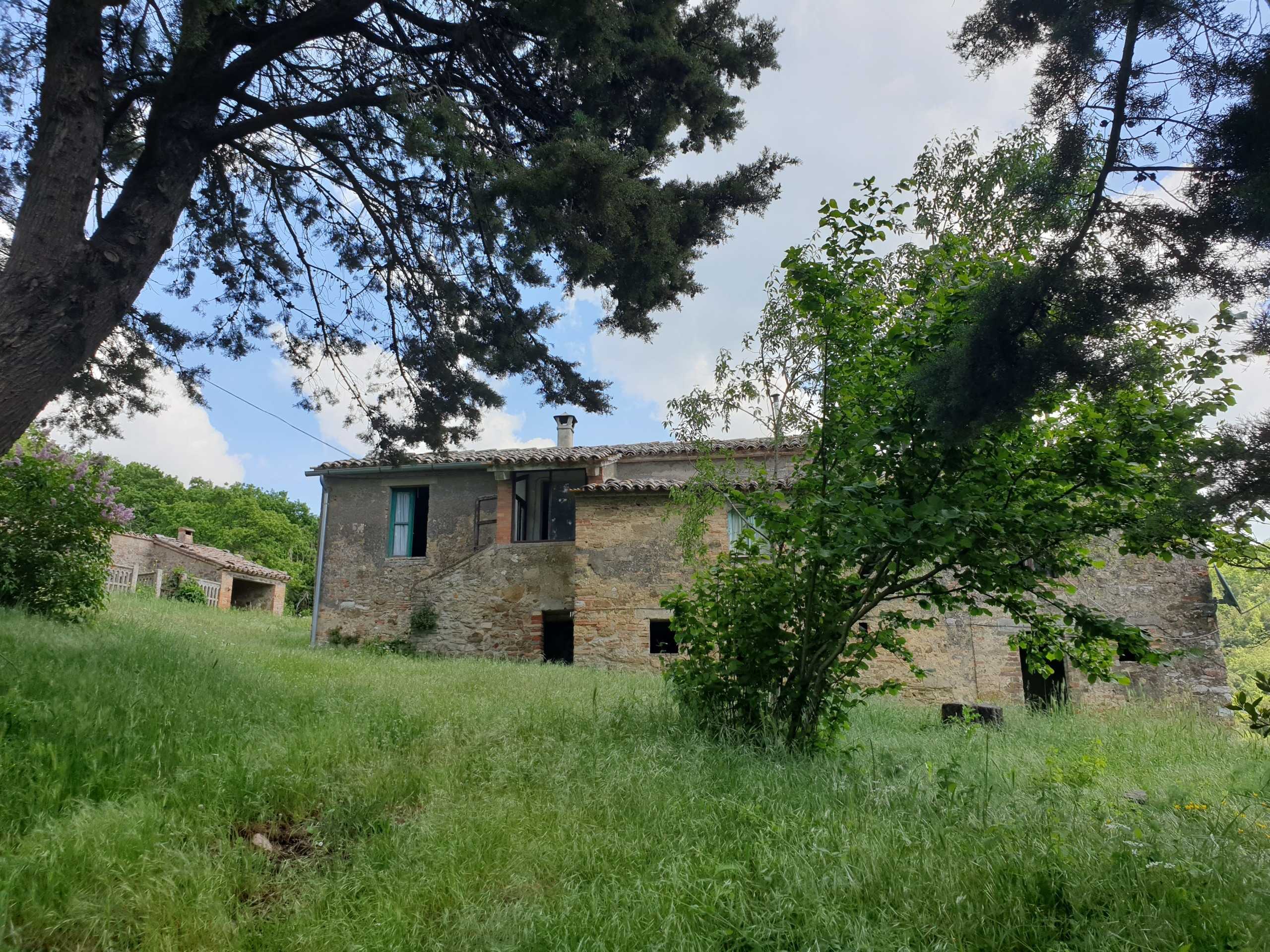  - foto 42