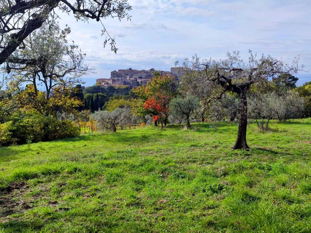 Terreno edificabile Via del Cardino, Lugnano in Teverina