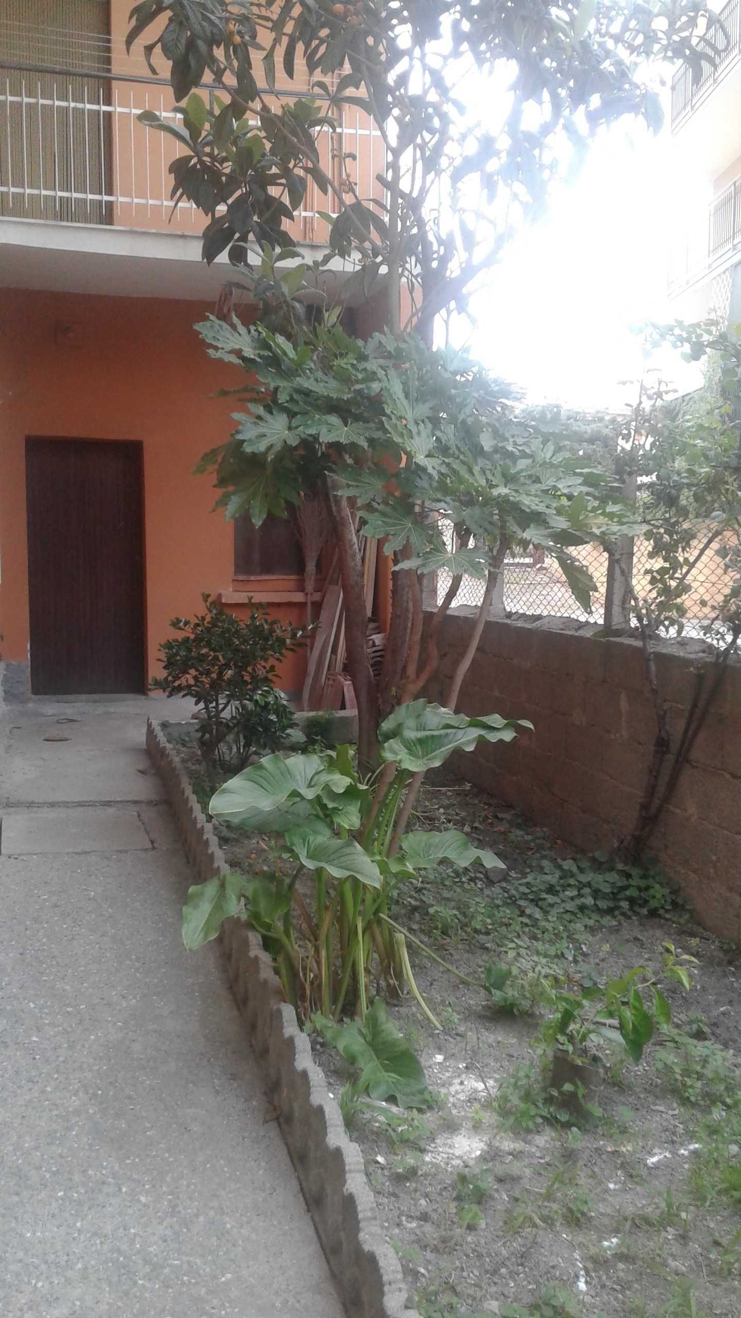  - foto 3