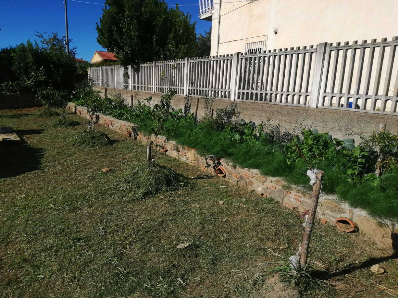  - foto 5