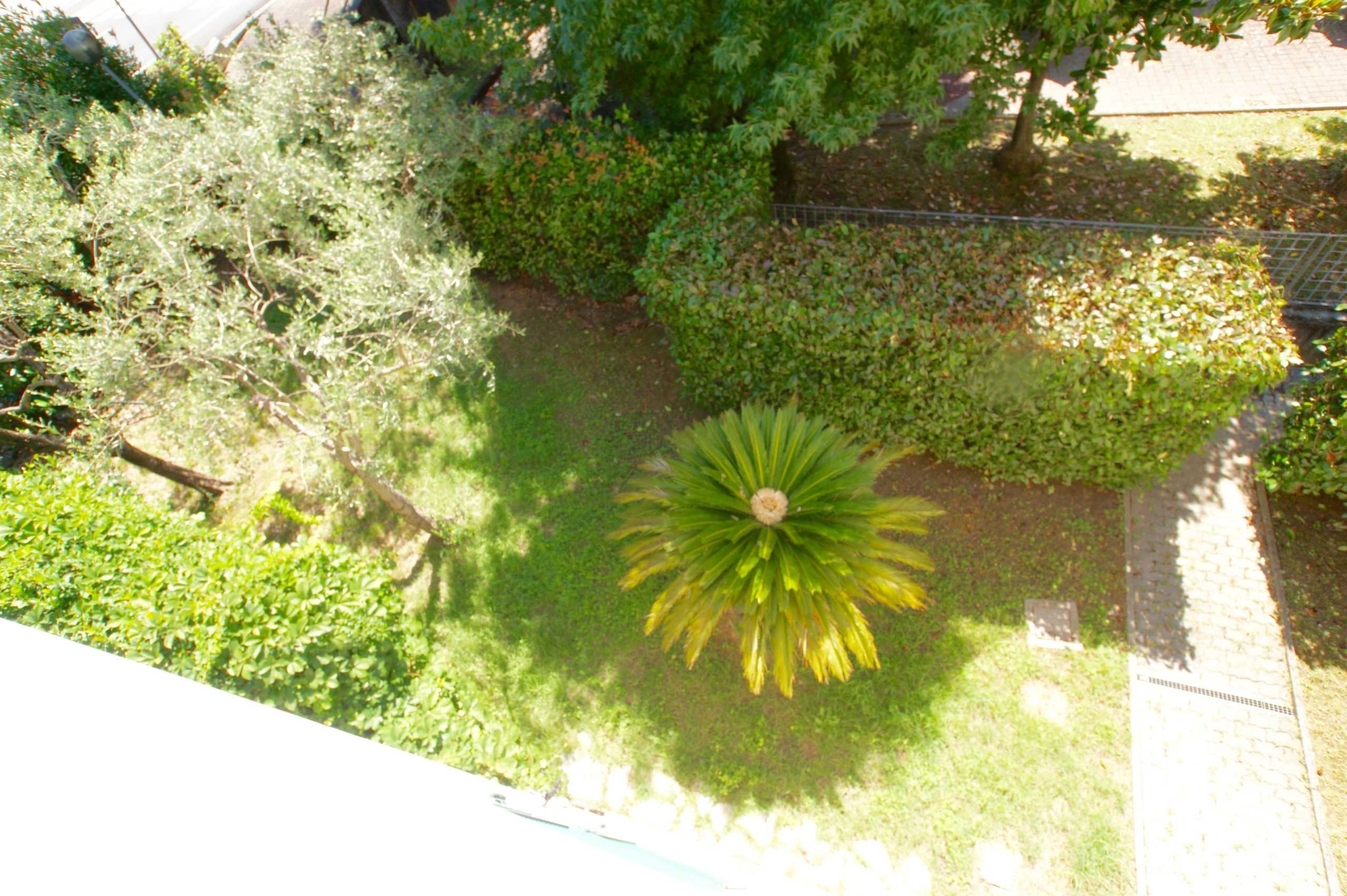  - foto 12