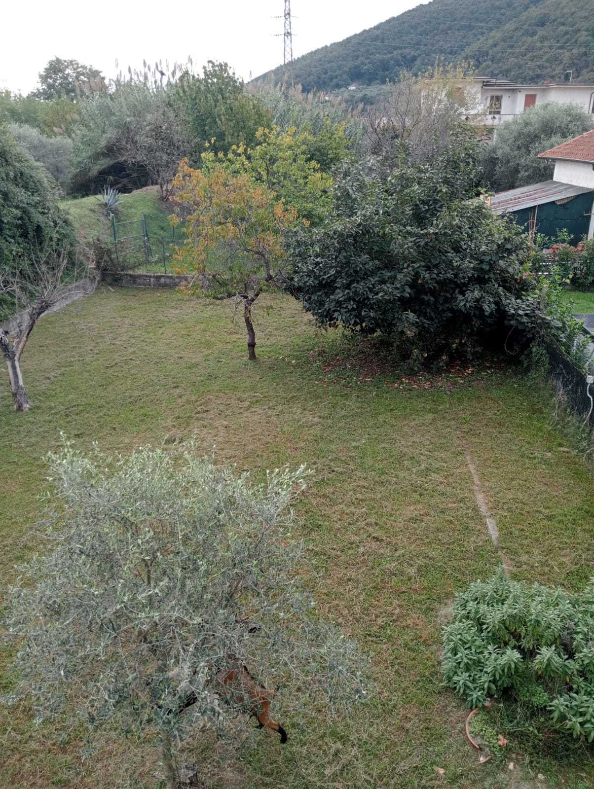 - foto 28