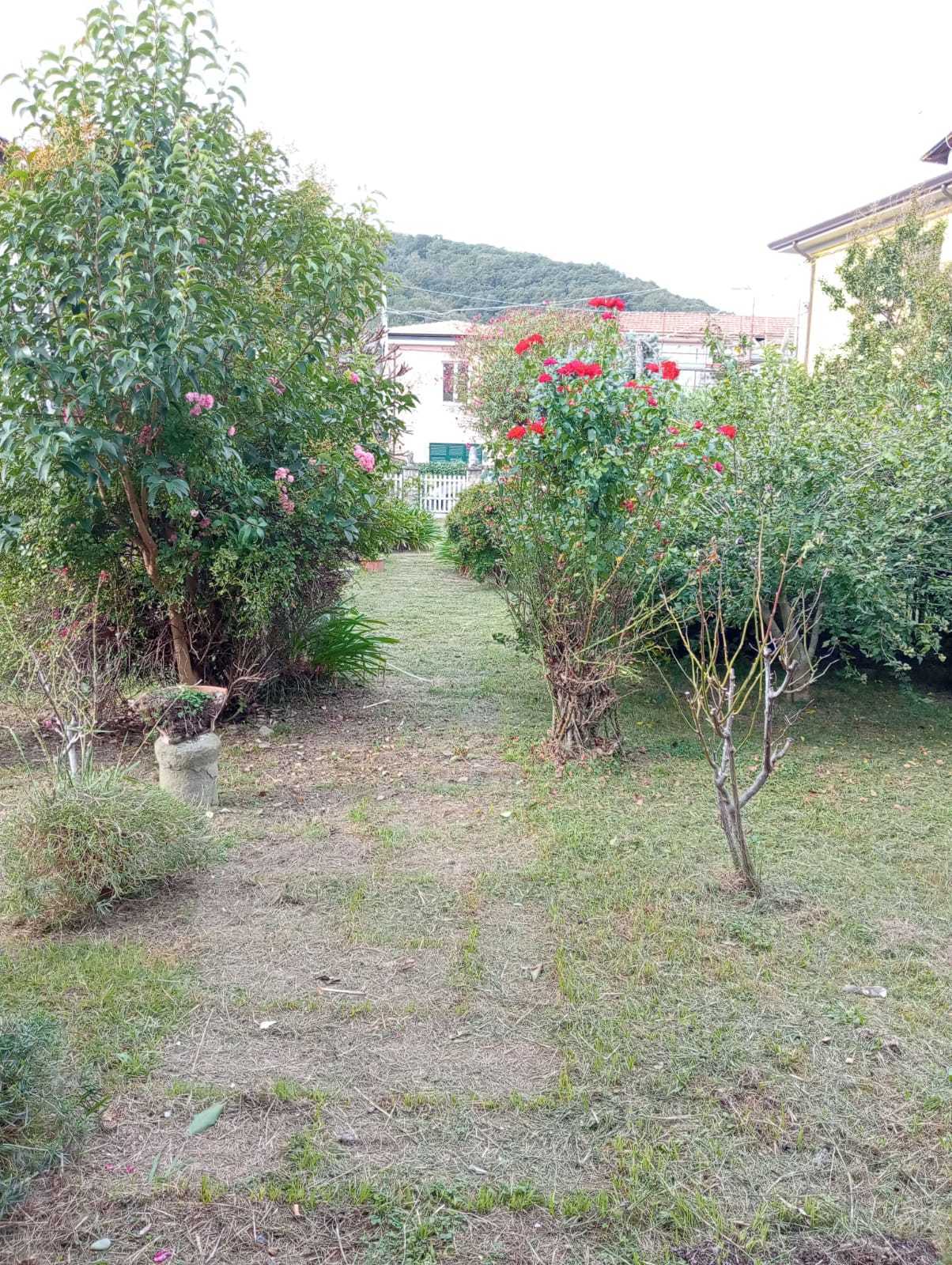  - foto 3