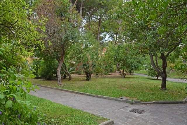  - foto 10