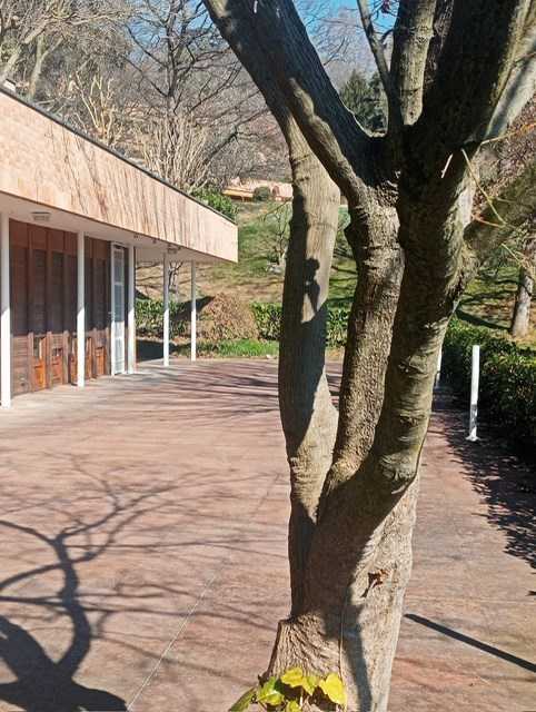  - foto 11