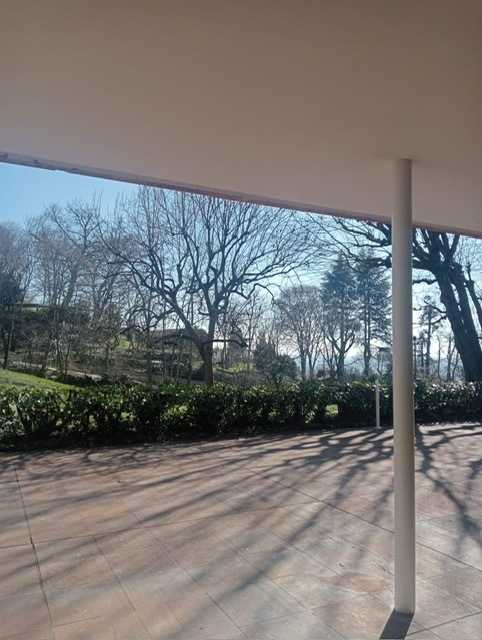  - foto 21