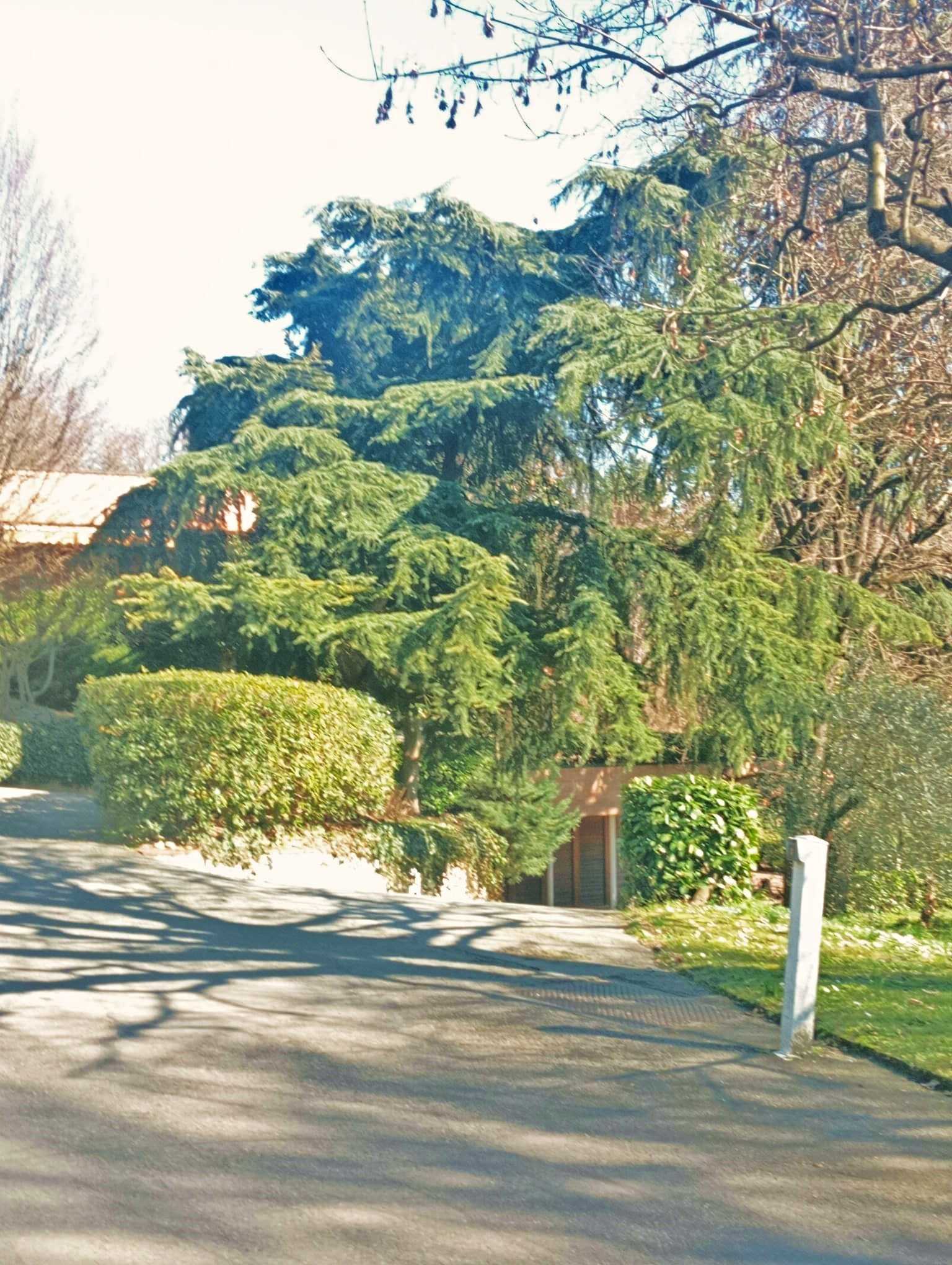  - foto 3