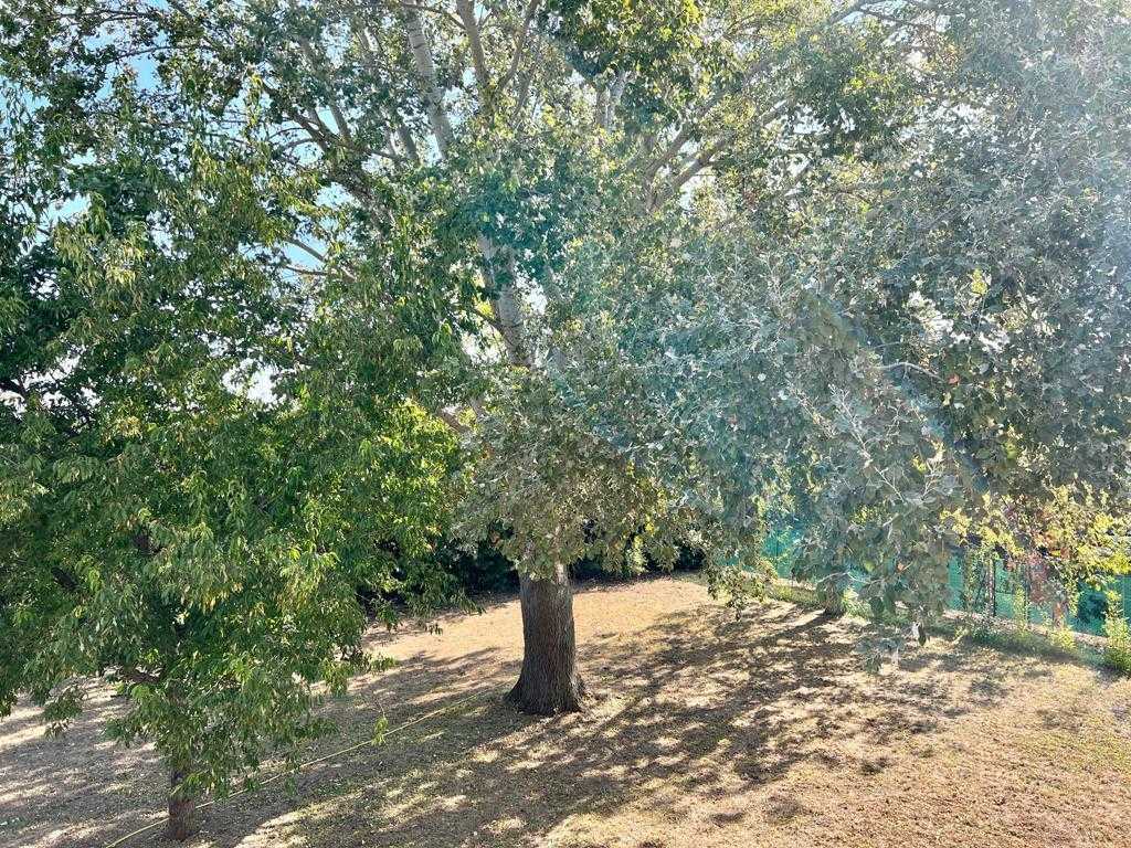  - foto 40