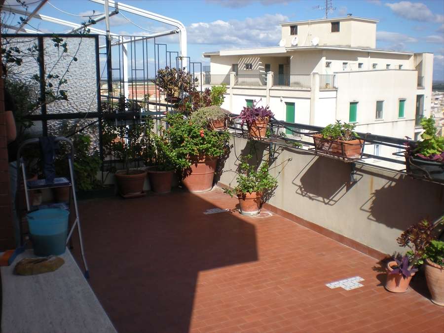  - foto 7