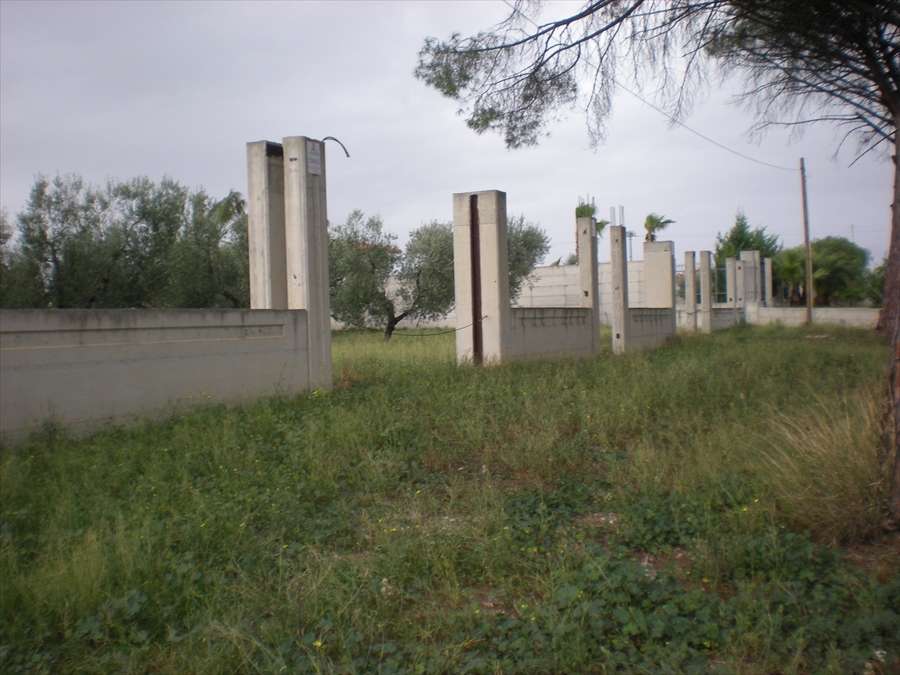 Terreno agricolo, Cerignola