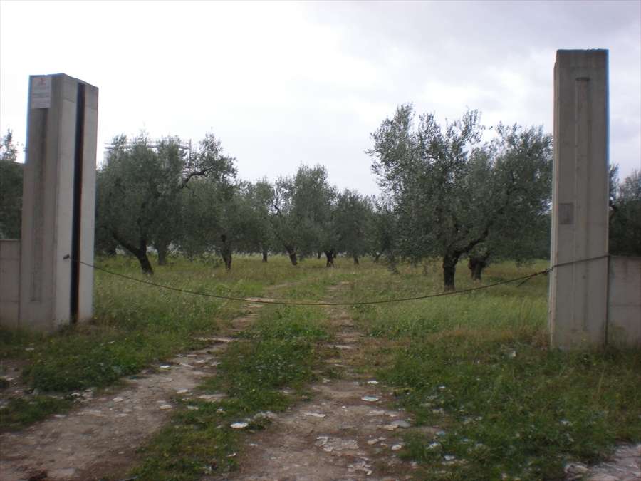  - foto 3