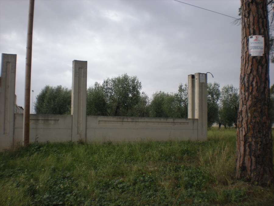  - foto 7