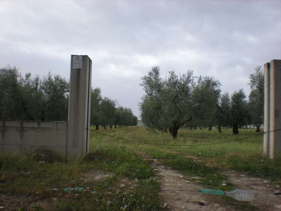  - foto 8