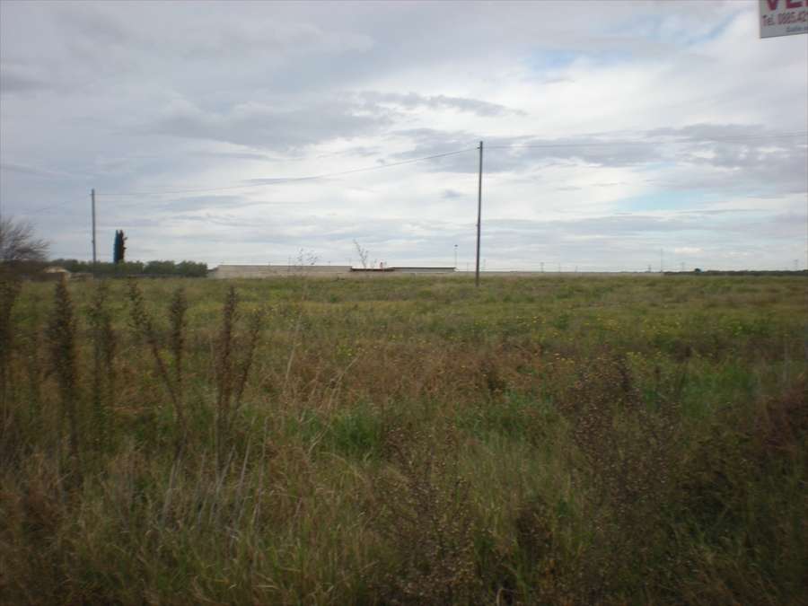 Terreno agricolo Via Manfredonia, Cerignola