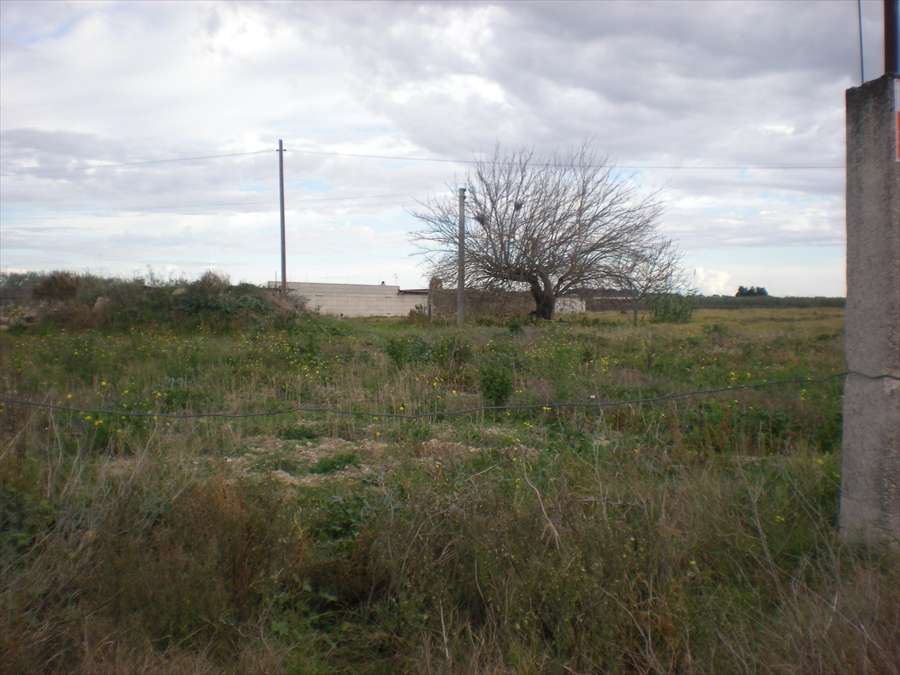  - foto 2