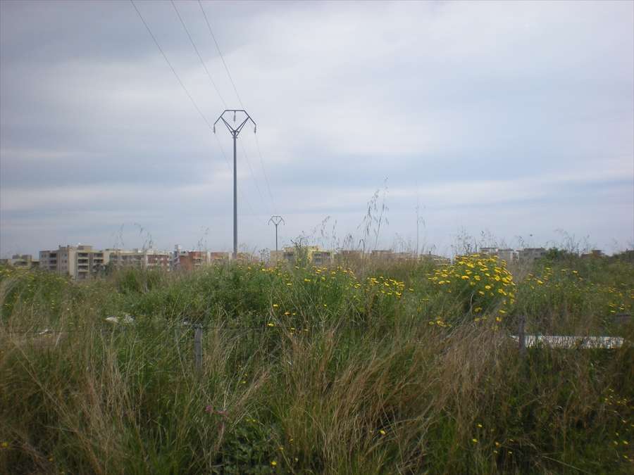  - foto 3