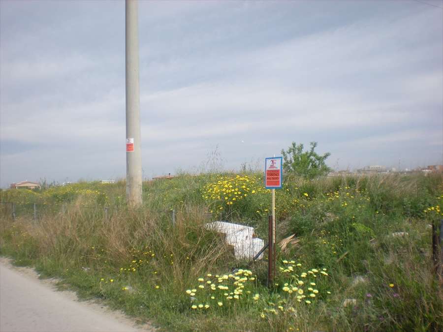  - foto 4