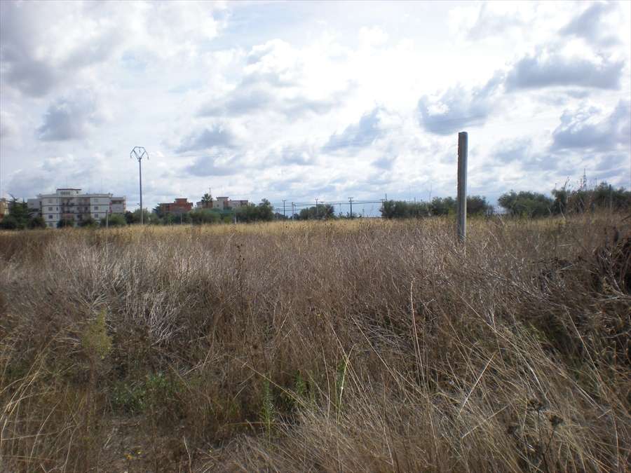 Terreno agricolo, Cerignola