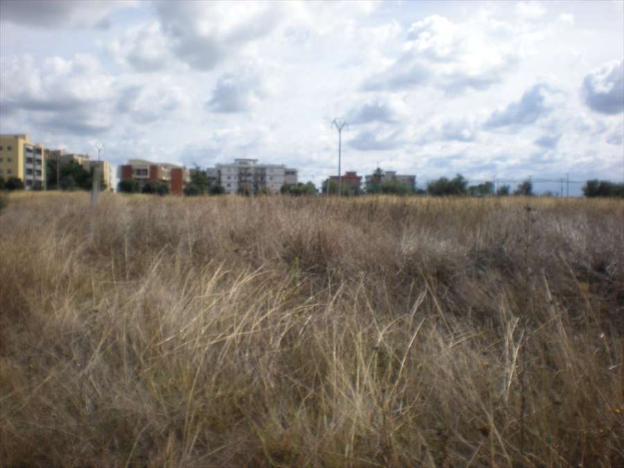  - foto 4